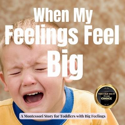 When My Feelings Feel Big: A Calm Montessori Story about Tantrums, Tears and Learning to Feel Safe - Boonhouse Publishing - cover