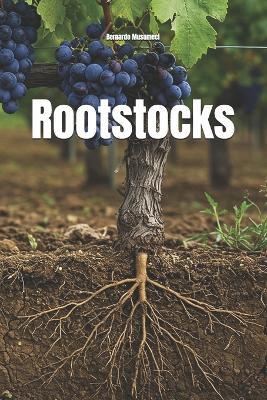 Rootstocks - Bernardo Musumeci - cover