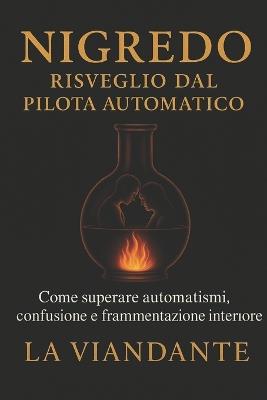 Nigredo - Risveglio dal pilota automatico: Come superare automatismi, confusione e frammentazione interiore - La Viandante - cover
