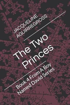 The Two Princes: Book 4 From A Boy Named David Series - Jacqueline Aguirregross - cover