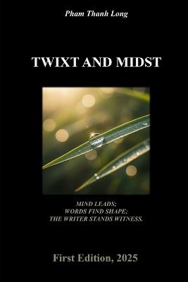 Twixt and Midst - Pham Thanh Long - cover
