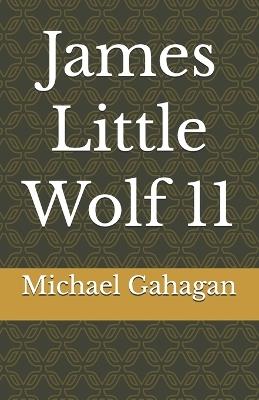 James Little Wolf 11 - Michael Donovan Gahagan - cover