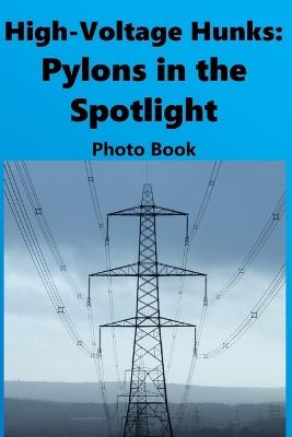 High-Voltage Hunks: Pylons in the Spotlight: Pylon Photo Book - Davies - cover