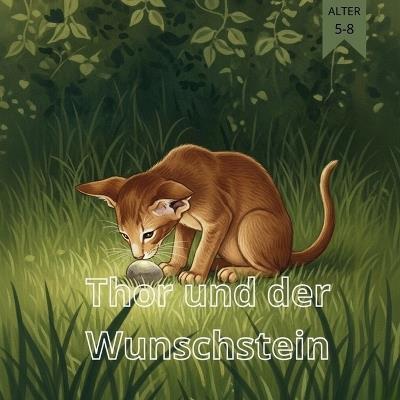Thor und der Wunschstein - Vit Vas - cover
