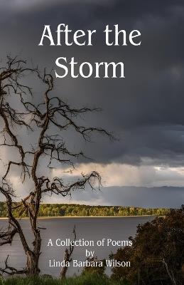 After the Storm - Linda Barbara Wilson - cover