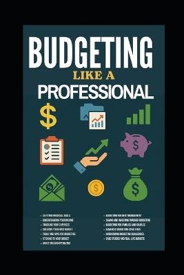 Budgeting Like a Professional - Evelin Kholeli - cover
