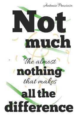 NOT MUCH The Almost-Nothing That Makes All the Difference - Antonio Preziuso - cover