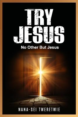 Try Jesus: No Other But Jesus - Nana-Sei Tweretwie - cover