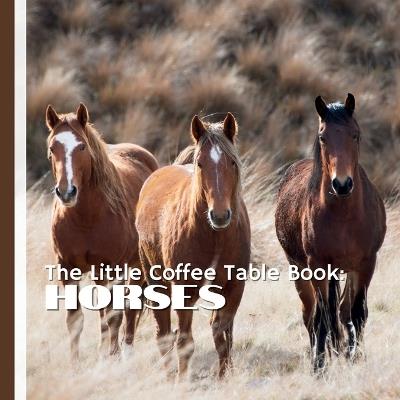 The Little Coffee Table Book: Horses: A captivating journey through the world of horses-one fascinating fact at a time. - Mehco Design - cover