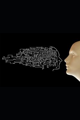 Probleme methodisch lösen mit KI.: Methoden, Mindset & Praxis für kreative Systemlösungen - Thomas Gernbauer - cover