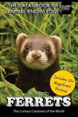 Ferrets: The Curious Creatures of the World - M Martin - cover
