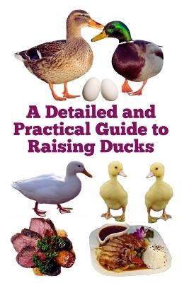 A Detailed and Practical Guide to Raising Ducks - Zulfiqar Khan - cover
