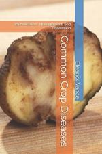 Common Crop Diseases: Identification, Management, and Prevention
