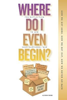 Where do I even begin?: How we got here, how we get out, how we never go back. - Alison Rose - cover
