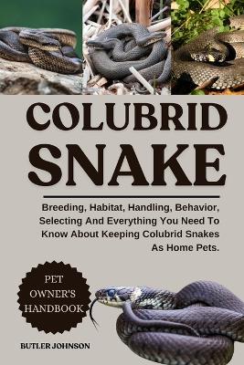 Colubrid Snake: Breeding, Habitat, Handling, Behavior, Selecting And Everything You Need To Know About Keeping Colubrid Snakes As Home Pets. - Butler Johnson - cover