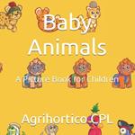 Baby Animals: A Picture Book for Children