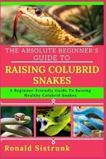 The Absolute Beginner's Guide to Raising Colubrid Snakes: A Beginner-Friendly Guide To Raising Healthy Colubrid Snakes
