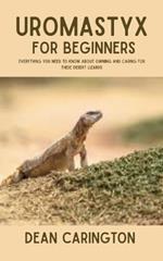 Uromastyx for Beginners: Everything You Need to Know About Owning and Caring for These Desert Lizards