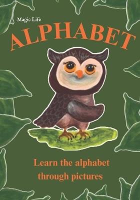 Alphabet: Learn the alphabet through pictures - Magic Life - cover