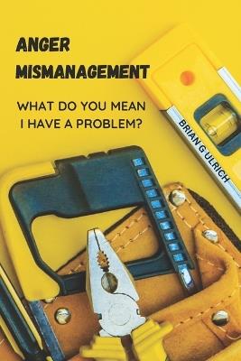 Anger Mismanagement: What do you mean I have a problem? - Brian G Ulrich - cover