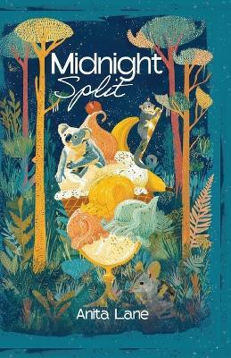 Midnight Split: A Short Novel for Year 3 Australian children - Anita Lane - cover