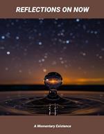 Reflections On Now: A Momentary Existence