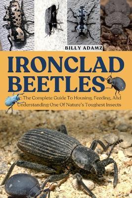 Ironclad Beetles: The Complete Guide To Housing, Feeding, And Understanding One Of Nature's Toughest Insects - Billy Adamz - cover