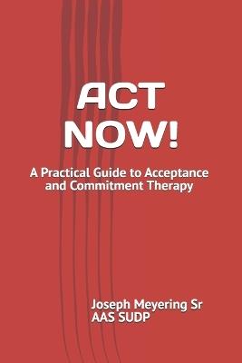 ACT Now!: A Practical Guide to Acceptance and Commitment Therapy - Joseph Meyering Aas Sudp - cover