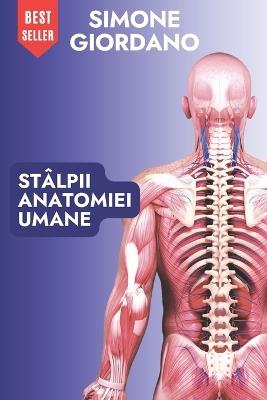 Stâlpii Anatomiei Umane - Simone Giordano - cover