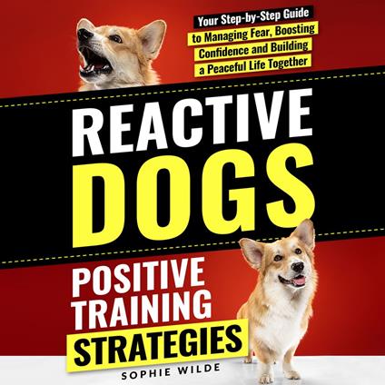 Reactive Dogs: Positive Training Strategies
