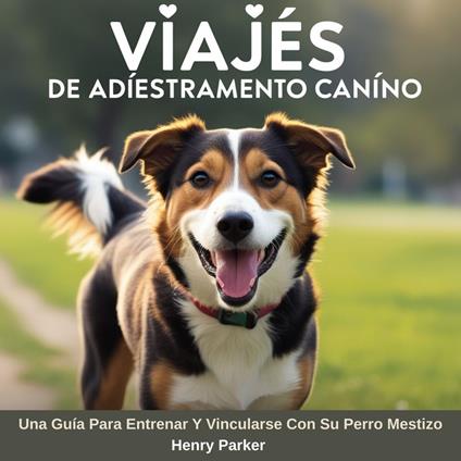 Viajes De Adiestramiento Canino