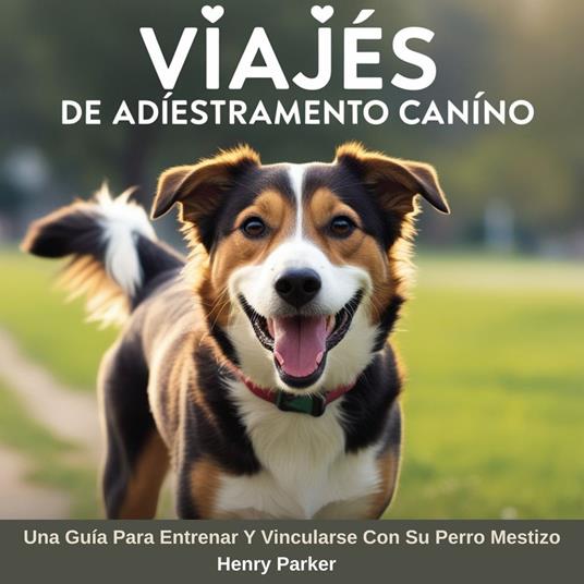 Viajes De Adiestramiento Canino