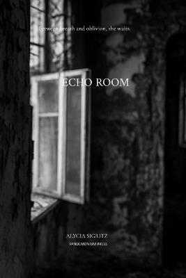 Echo Room - Alycia Sigritz - cover