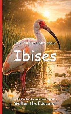 It's Time to Learn about Ibises - Walter the Educator - cover