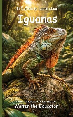 It's Time to Learn about Iguanas - Walter the Educator - cover
