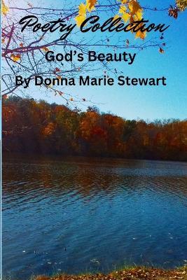 God's Beauty - Donna Stewart - cover