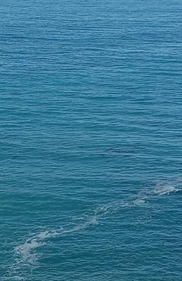 Ever Adrift: Down North - Rowan Mann - cover