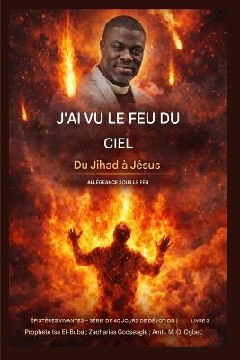 J'ai vu du feu du ciel: Du djihad à Jésus - Allégeance sous le feu - Prophet Isa El-Buba,Zacharias Godseagle,Ambassador Monday Ogbe - cover