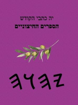 יה כתבי הקודש הספרים החיצוניים - cover