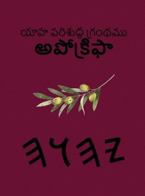 యాహ పరిశుద్ధ గ్రంథము అపోక్రిఫా - cover