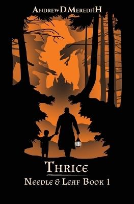 Thrice - Andrew D Meredith - cover