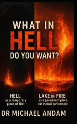 What in HELL Do You Want? - Michael Andam - cover