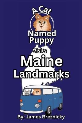 A Cat Named Puppy Visits Maine Landmarks: A Rhyming State Book for Kids to Learn About Maine's Landmarks, Geography, and Fun Facts - James Breznicky - cover
