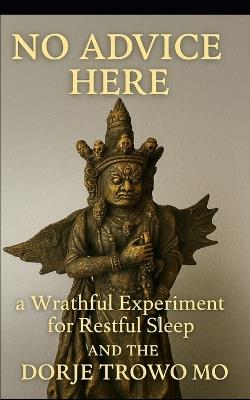 No Advice Here: A Wrathful Experiment for Restful Sleep - Elise Darchis - cover