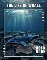 The Life of Whale Photo Book: Discover Majestic Southern Mammals Through 40 Stunning And Informative Images Inside
