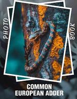 Common European Adder Photo Book: Explore 40 Stunning Images of Europe's Iconic Snake Species for Nature Enthusiasts