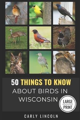 50 Things to Know About Birds in Wisconsin Large Print: Birding in the Badger State - 50 Things to Know,Carly Lincoln - cover