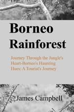 Borneo Rainforest: Journey Through the Jungle's Heart-Borneo's Haunting Hues: A Tourist's Journey