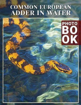 Common European Adder In Water Photo Book: Explore 40 Stunning Images Of Europe's Snakes In Their Natural Aquatic Habitat - Marjorie Morgan - cover