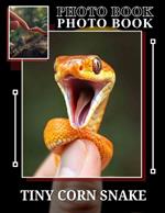 TIny Corn Snake Photo Book: Explore Captivating Imagery Of Small Snakes For Enthusiasts, Nature Lovers And Reptile Fans